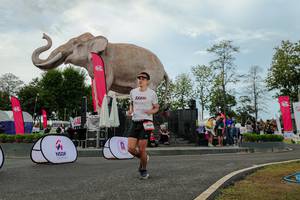 BIB: 
                            <button type="button" onclick="openModal(26528860)" class="btn btn-primary btn-sm float-right btn-popup" data-toggle="modal" data-target=".modal-high-quality">
                        <i class="fas fa-shopping-cart"></i> Add to Cart
                    </button>
                                            <button type="button" onclick="isThisMe(26528860, true)" class="btn btn-success btn-sm float-right btn-popup btn-isme hidden" data-toggle="tooltip" data-placement="bottom" title="นี่คือรูปของคุณใช่ไหม คลิกที่นี่เพื่อเอาเข้าอัลบั้ม">
                        <i class="fas fa-plus"></i> Add to album
                    </button>
                    <button type="button" onclick="isThisMe(26528860, false)" class="btn btn-warning btn-sm float-right btn-popup btn-isnotme hidden">
                        <i class="fas fa-ban"></i> Remove from album
                    </button>